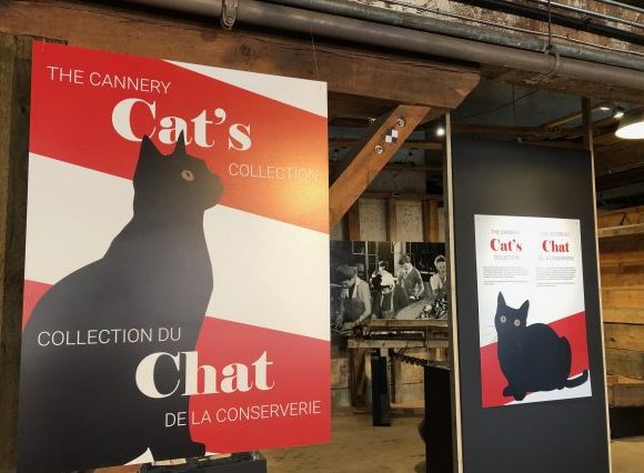 museum signs for Cannery Cat's Collection exhibit