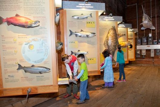 children playing at the Gulf of Georgia Cannery fish wall display