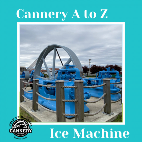 Cannery A to Z: I is for Ice Machine