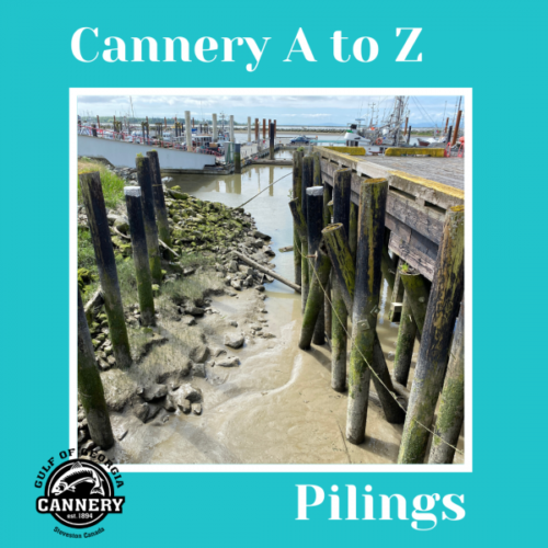 Cannery A to Z: P is for Pilings