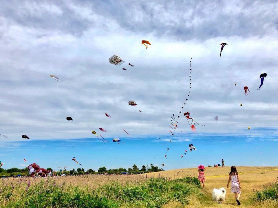 Colourful kites flying in a cloudy sky over a yellowing field of grass