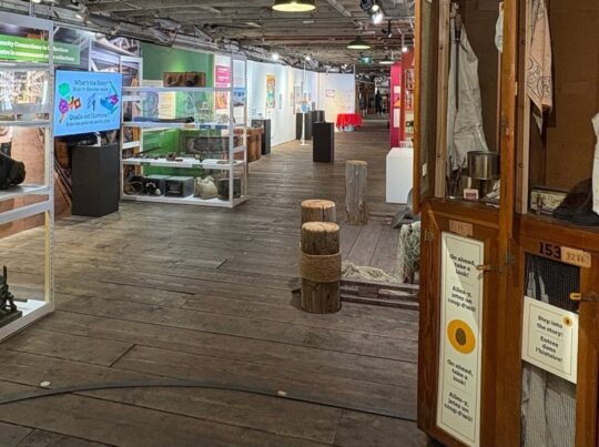 NOUVEAU ! Conserverie REcollections (de la maternelle à la 3e année/ 9e année