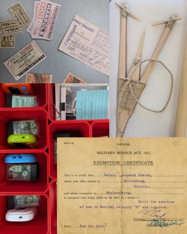 Save the Salmon Kit (High School Social Studies)