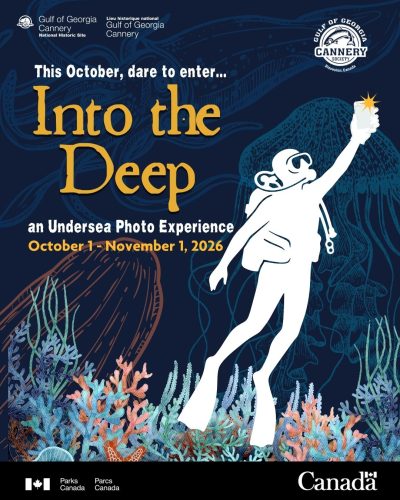 Into the Deep Undersea Photo Experience